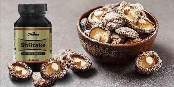 مبارزه با بیماری های ویروسی بواسطه قارچ های درمانی