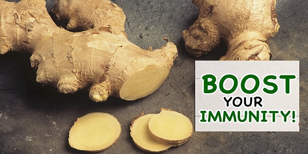 ارزیابی اثرات مصرف زنجبیل در بیماری کرونا ویروس 2019