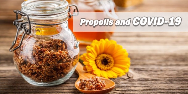 ارزیابی اثرات پروپولیس یا بره موم در بیماری کرونا ویروس 2019
