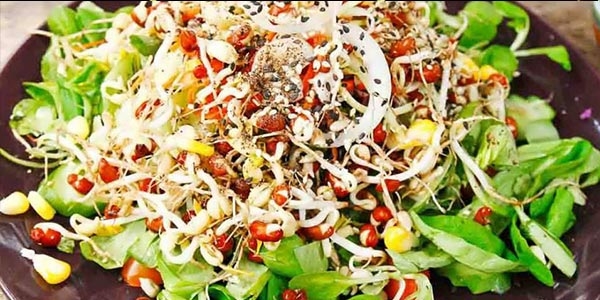 سالاد جوانه ها