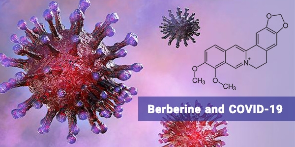 ارزیابی اثرات بربرین در بیماری کرونا
