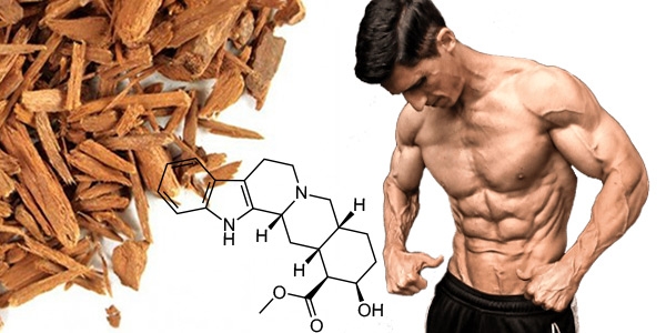 خواص قرص یوهمبین در بدنسازی