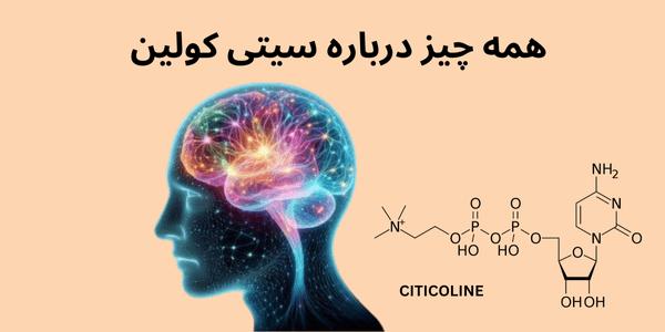 همه چیز درباره سیتی کولین