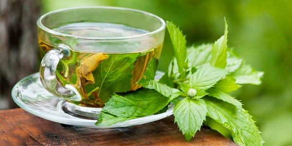 دمنوش نعناع تازه