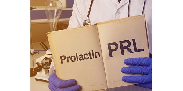 هورمون پرولاکتین چیست؟