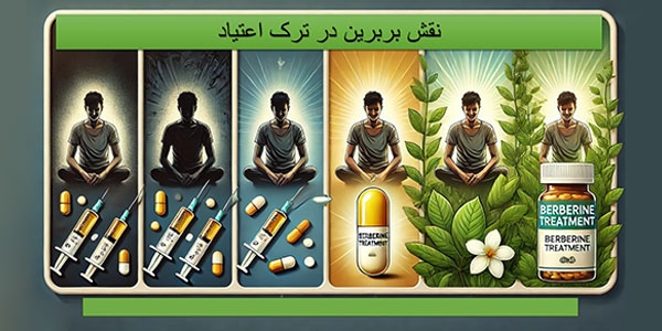 بربرین در ترک اعتیاد
