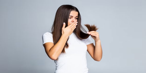 موخوره چیست؟