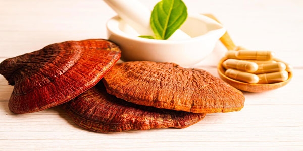 بهترین روش مصرف قارچ گانودرما