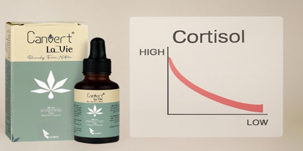 کاهش کورتیزول با CBD؛ راهکار علمی بدن برای مقابله با اضطراب مزمن 