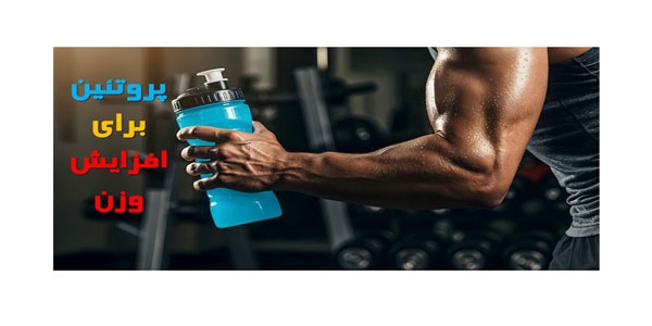 بهترین پروتئین برای افزایش وزن