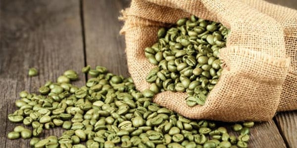 هر آنچه درباره قهوه سبز باید بدانیم