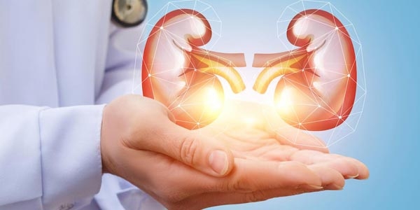 باید ها و نباید ها برای سلامت کلیه ها