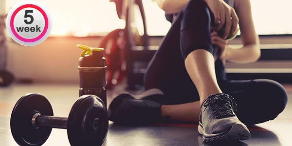 برنامه ی تمرینی 6 هفته ای (هفته پنجم)
