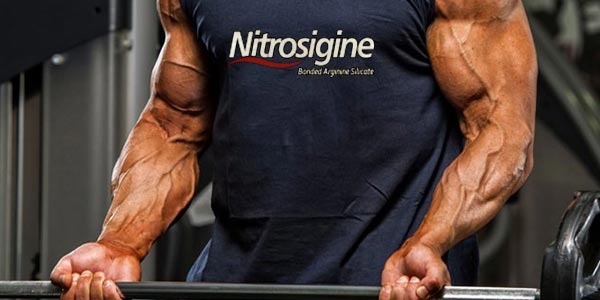 نقش ®Nitrosigine در مکمل نیتریک اکساید (NO)