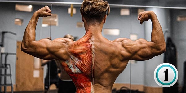 30 حرکت برتر جهت انجام حرکات پشت و تشکیل V-Taper (قسمت اول)