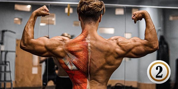 30 حرکت برتر جهت انجام حرکات پشت و تشکیل V-Taper (قسمت دوم)