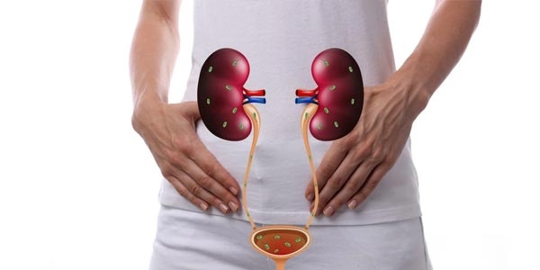 توصیه های تغذیه ای عفونت مجاری ادراری