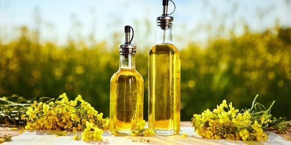 همه چیز درباره کانولا، روغن رایج در پخت و پز