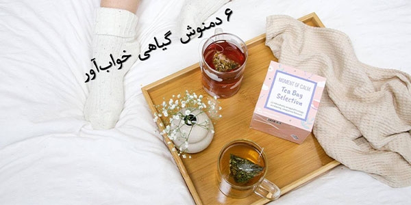 ۶ دمنوش خواب‌آور گیاهی