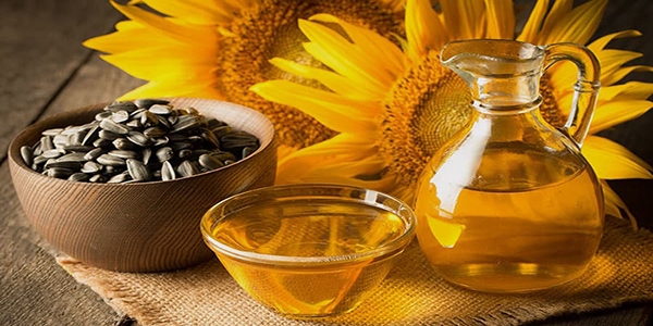 همه چیز درباره روغن آفتابگردان