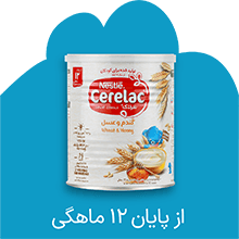 از پایان 12 ماهگی