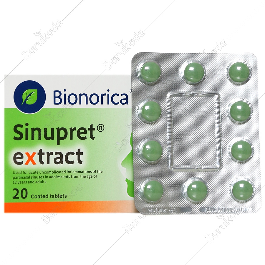 سینوپرت اکسترکت