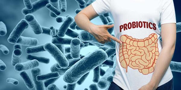 چگونه پروبیوتیک ها به کاهش وزن کمک می کنند؟