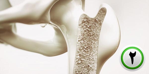 کلسیم و سلامت استخوان (بخش دوم)