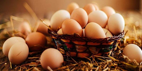 5 دلیل برای خوردن تخم مرغ