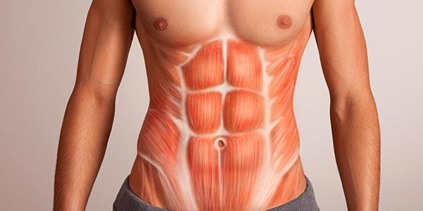 10 تمرین برتر برای رشد عضلات شکم