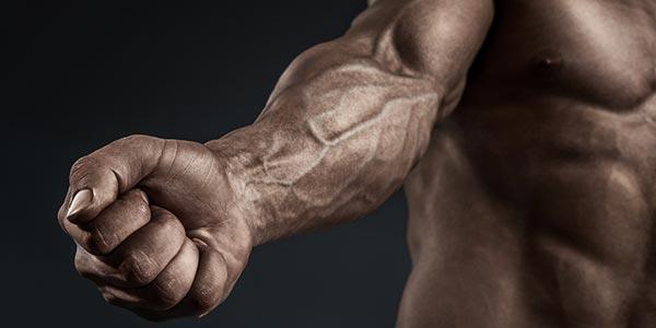 6 حرکت مهم ورزشی جهت رشد عضلات ساعد