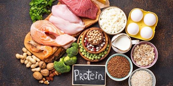 رژیم های کم کربوهیدرات/پر پروتئین