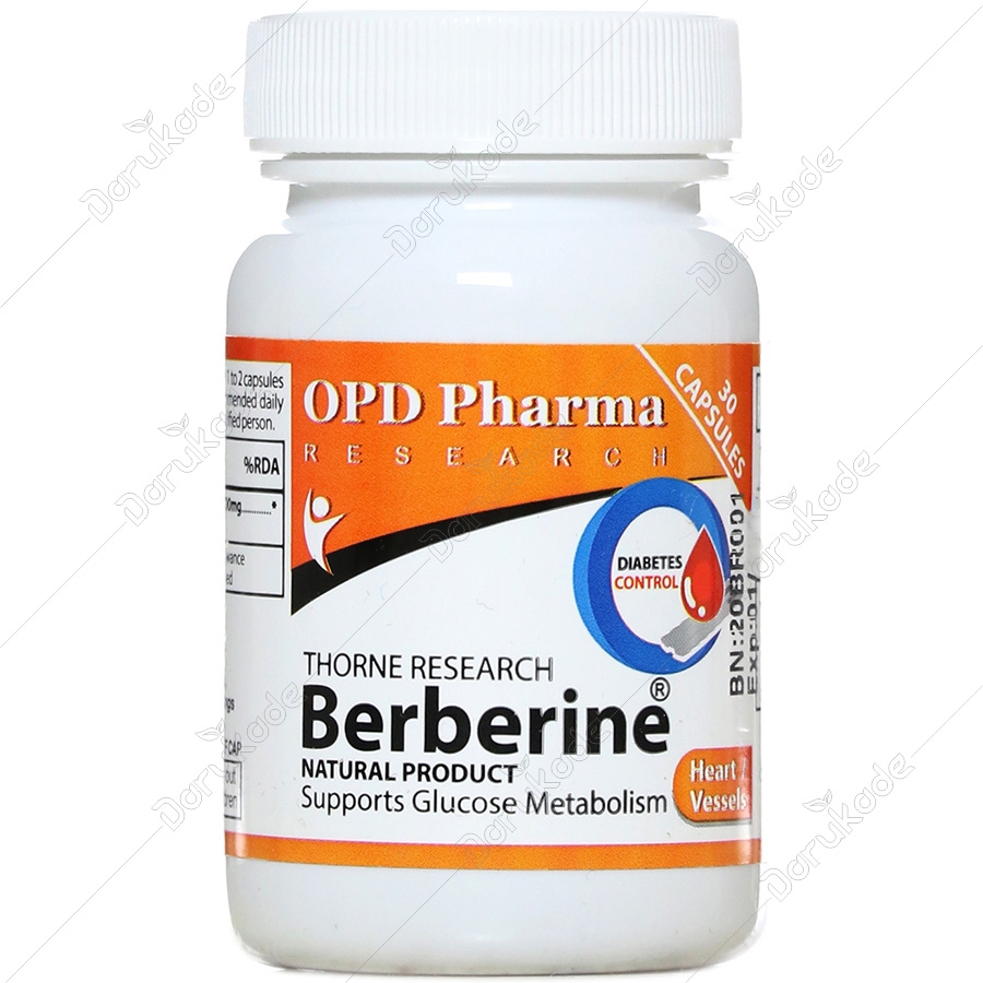 تورن ریسرچ بربرین